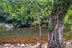 Cascata da Pedra Branca - Trçes Forquilhas/RS