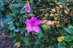 1620173446390-scaled