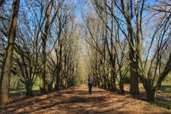 1620173446400-scaled