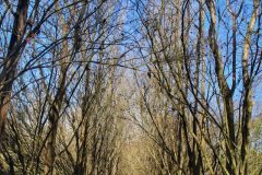 Parque Witeck - Novo Cabrais