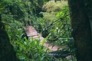 Cachoeira das Gêmeas Gigantes