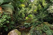 Cachoeira das Gêmeas Gigantes